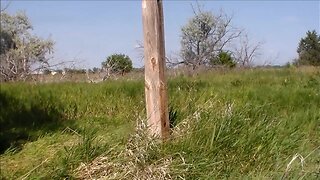The Pole - July 22 2017