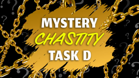 2025 Mystery Chastity Task D