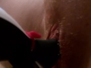 Hungry Penguin Satisfyer Eats My Big Clit