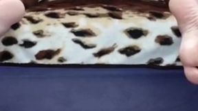 My wife and her fans