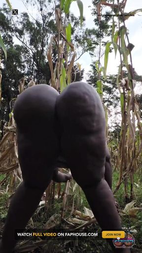 Shaking It Outside in the Village Maize Plantation