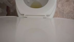 Whole days worth of peeing with farts and a quick soft dump