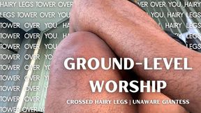 Ground-Level Worship: Hairy Legs Tower Over You | Unaware Giantess, Crossed Legs, & Hairy Legs with Temptress Mango