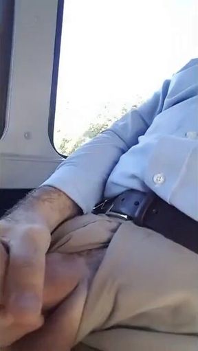 Jerked Off On Publc Bus. Close Up. Spunk Shot - Masturbation