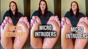 Tiny Intruders