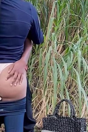 Guy Big Dick Fuck Shemale Public