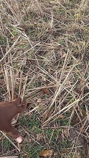 Bhabhi Gay Boy Outdoor Masterbate Pussy Hole