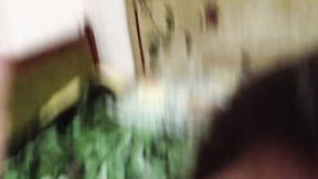 ”Amateur GF Sucks Off Her Favorite Dong”