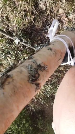 Fun in woods 3