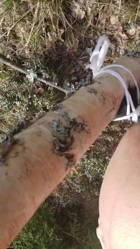 Fun in woods 3