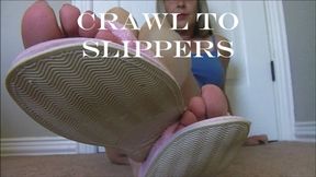 CRAWL TO MY SLIPPERS mp4