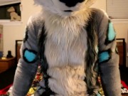 A Lynx showing off