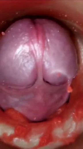Cumfeti Dripping Creampie Compilation- Endoscopy view   Clip 1