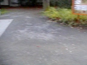 I fuck my sexy girlfriend in the forest and in bedroom