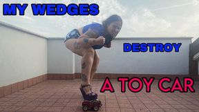 MY WEDGES DESTROY A TOY CAR