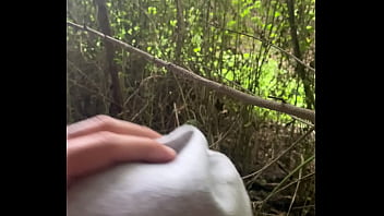 helao en el bosque