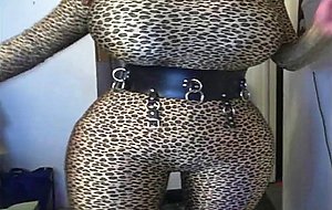 Leopard with words