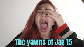 The yawns of Jaz 15
