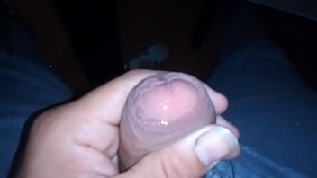 Mi lechita