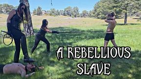 A REBELLIOUS SLAVE