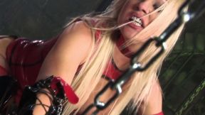 hot blonde with a hairy pussy gets fucked in the ass in hot anal sex scene