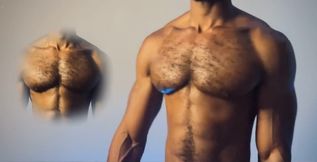 Do You Like My Hairy Chest?