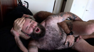 Fellatio, goły tyłek, owłosiony, tatuś – niedźwiedź amator wytatuowany Amerykanin Will Angell ruchany w dupę, duży kutas
