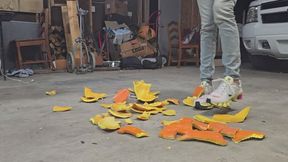 Chrissy pumpkin trample