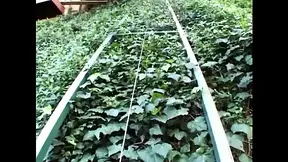 Anal intense fuck for a nasty blonde girl