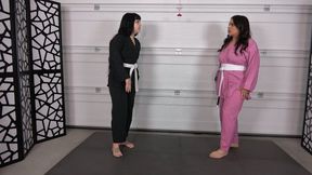 KARATE BALLBUSTING PRACTICE