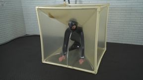 Experimenting with poses in a black latex mask in a transparent latex cube