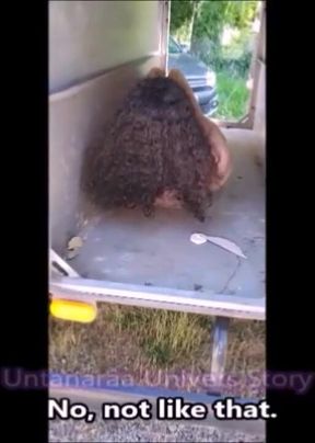 Ebony Livestock Bitch Crated Ass Up Cum Flooded Destroyed