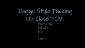 Doggy Style Fucking, Close Up POV