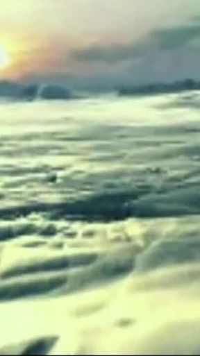 Trailer 485