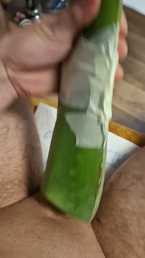 Fucking a wet and slimy aloe vera leaf   Clip 1
