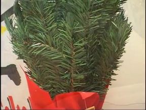 Fat mature lady with a juicy twat gets hardcore fucked with a big cock of the santa