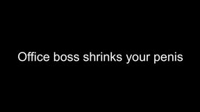 Office boss shrink your penis