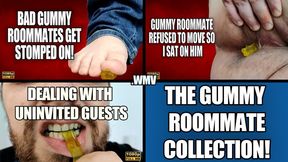 KingMarti: The Gummy Bear Roommate Collection - FHD - WMV