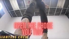 Giantess Crew Open your phone, You tiny!