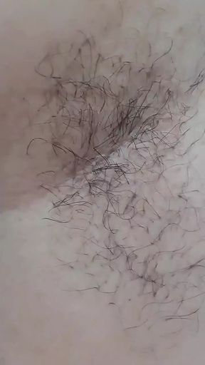 Hairy Armpit Show