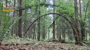 Naked Hike in Finnish Forrest