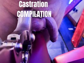 CASTRATION fantasy - big compilation (1hr + 50 photos)