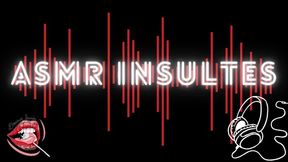 Audio -ASMR insultes