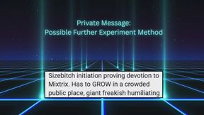 Possible Further Experimentation Method (audio only)