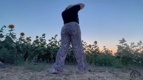 Sunshine Fart Queen - Field of Stink Flowers