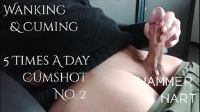 wanking & cuming 5 times a day - cumshot no. 2 - hammer hart