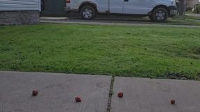 Sassy outdoor fruit crush