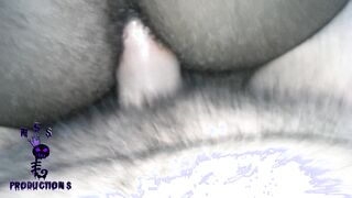 Black Breeders 54