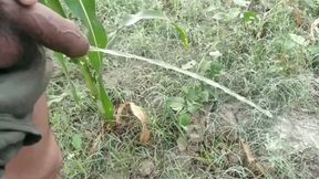 There Are Different Ways to Piss - I Love to Piss in Public, Indian Village