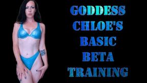 Goddess Chloe's Basic Beta Training